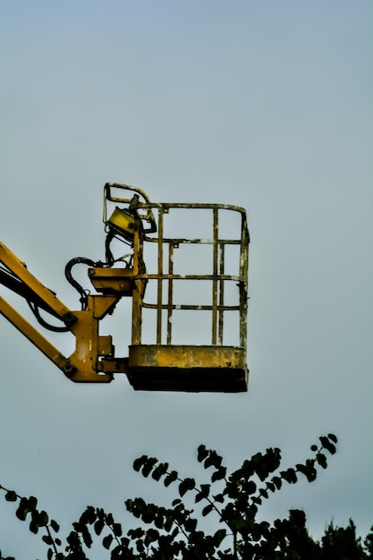 Foto lage hoek van gele kersenplukker tegen de lucht