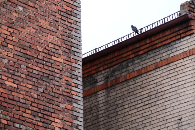 Lage hoek van het gebouw tegen de lucht