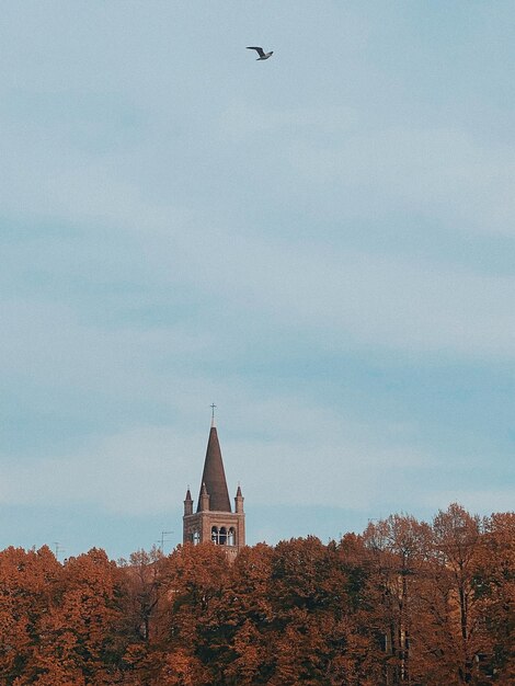 Foto lage hoek van het gebouw tegen de lucht