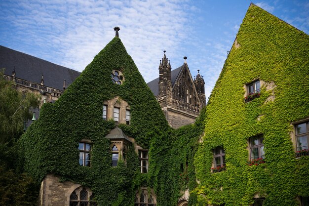 Lage hoek van het huisje tegen de lucht