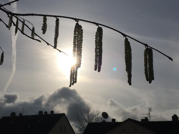 Foto lage hoek van het silhouethuis tegen de hemel tijdens de zonsondergang