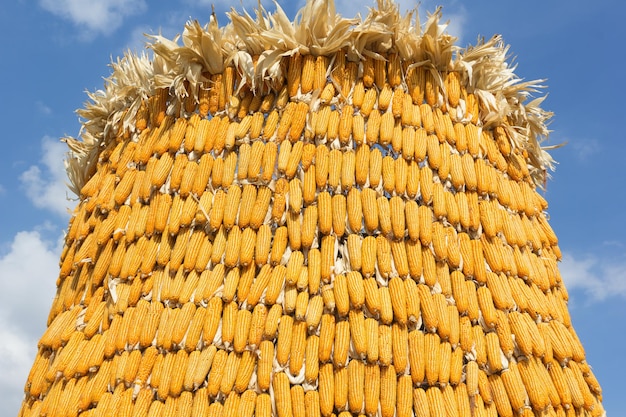 Foto lage hoek van het touw tegen de lucht