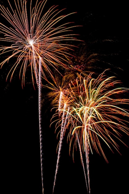 Lage hoek van het vuurwerk's nachts