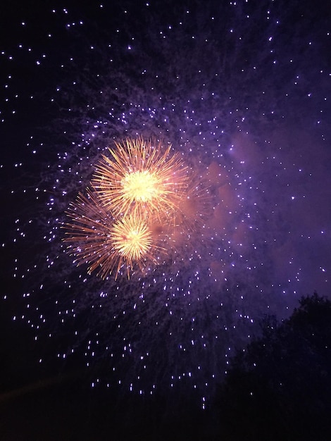 Foto lage hoek van het vuurwerk's nachts