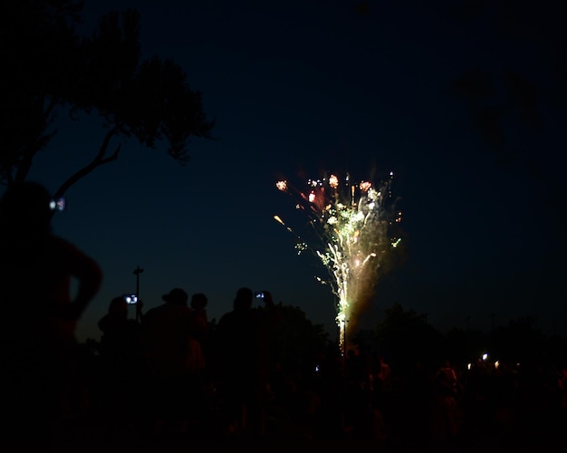 Lage hoek van het vuurwerk's nachts