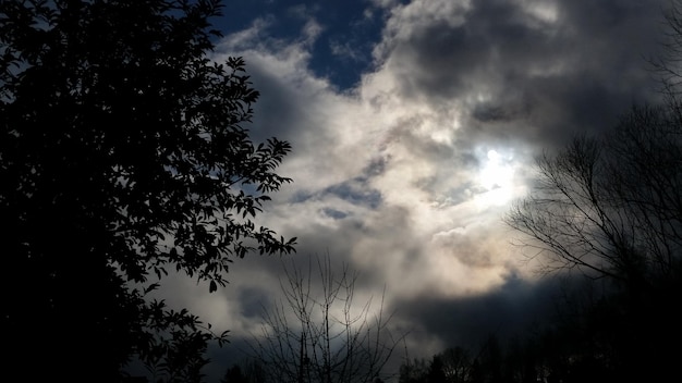 Foto lage hoek van kale bomen tegen bewolkte lucht