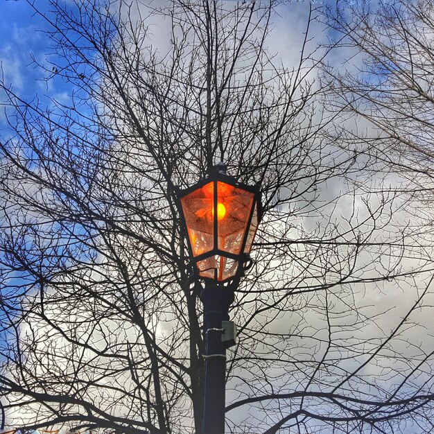 Foto lage hoek van kale bomen tegen de lucht