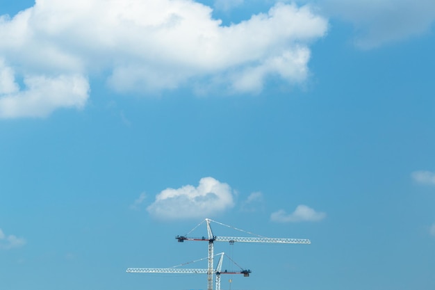 Foto lage hoek van kraanvogels tegen een blauwe hemel