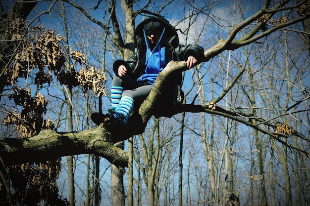 Foto lage hoek van mannen op een kale boom tegen de lucht