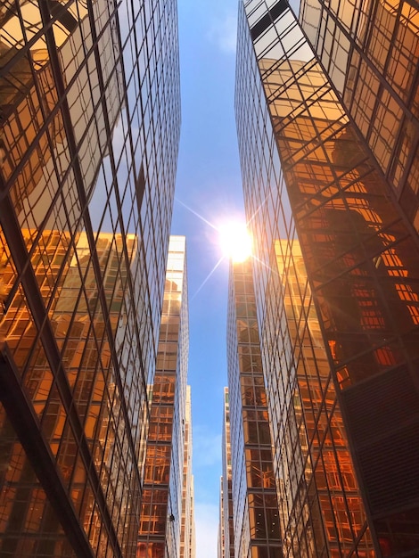 Lage hoek van moderne gebouwen tegen de lucht tijdens een zonnige dag