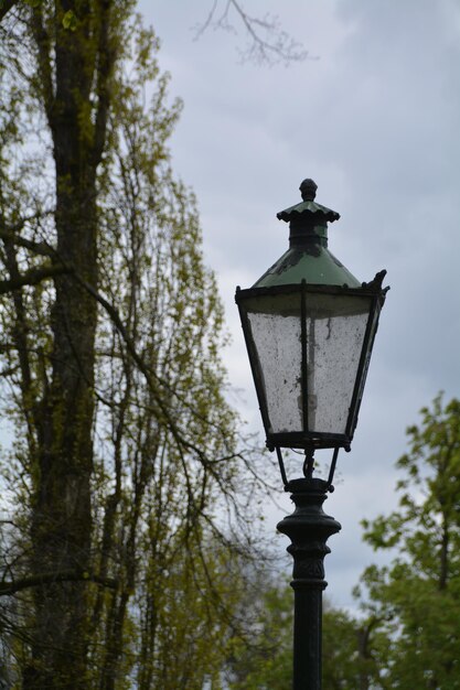 Foto lage hoek van oud gaslicht bij bomen