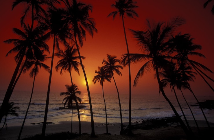 Foto lage hoek van palmbomen op het strand tegen de hemel tijdens de zonsondergang
