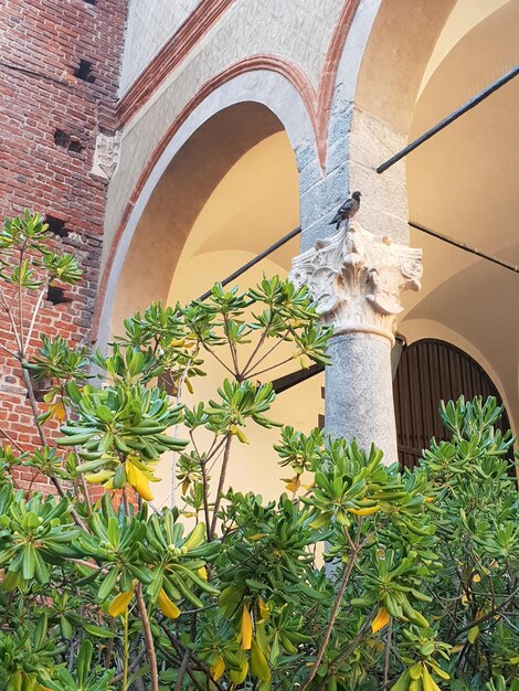 Lage hoek van planten tegen het gebouw