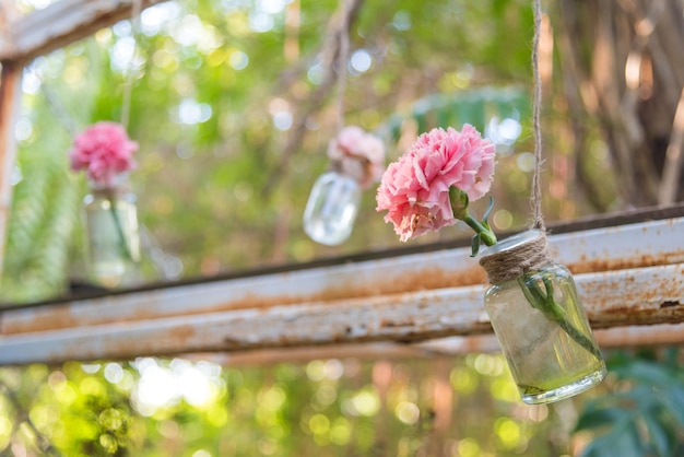 Lage hoek van roze rozen in potten die in de achtertuin hangen