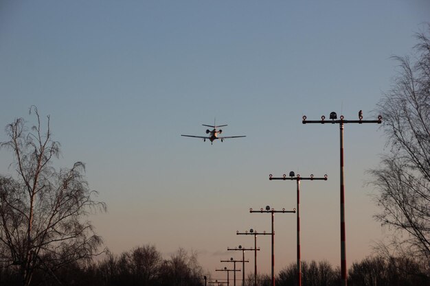 Foto lage hoek van silhouet bomen tegen de hemel