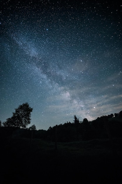 Foto lage hoek van silhouet bomen tegen het sterrenveld