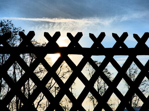 Foto lage hoek van silhouet boom tegen de hemel bij zonsondergang