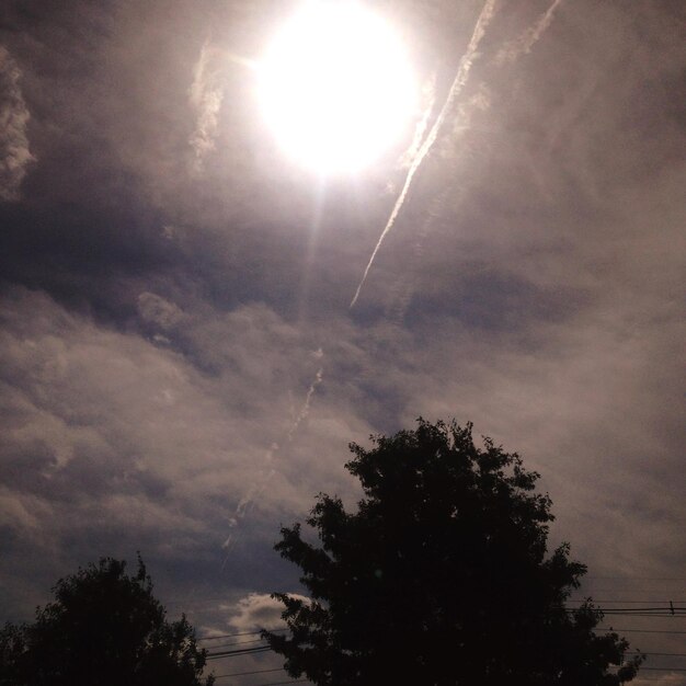 Foto lage hoek van silhouet boom tegen de hemel op een zonnige dag