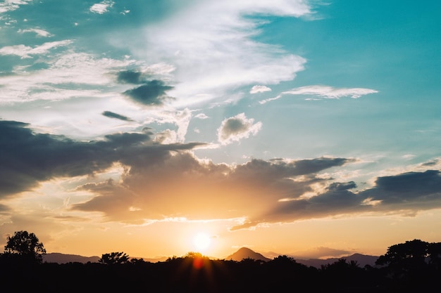 Lage hoek van silhouetplanten tegen de hemel tijdens zonsondergang
