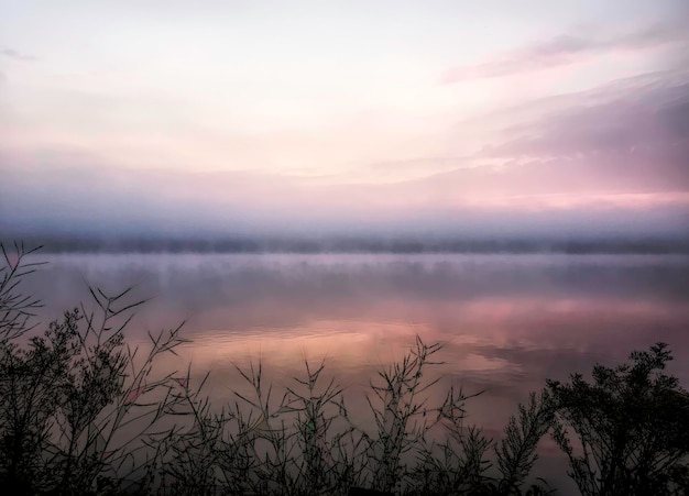 Foto lage hoek van silhouette bomen tegen de hemel tijdens zonsondergang