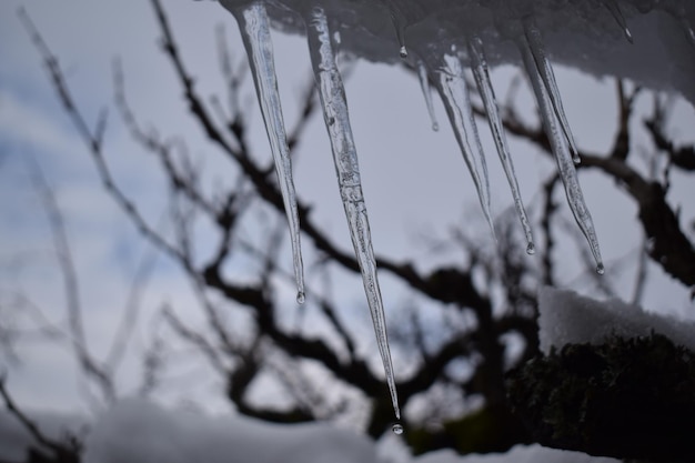 Foto lage hoek van sneeuw tegen de lucht