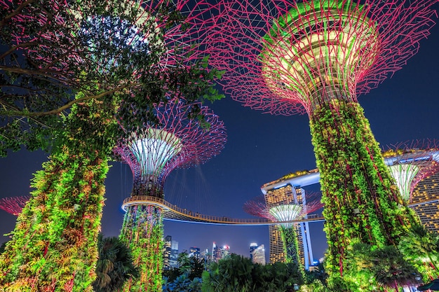 Foto lage hoek van verlichte bomen's nachts