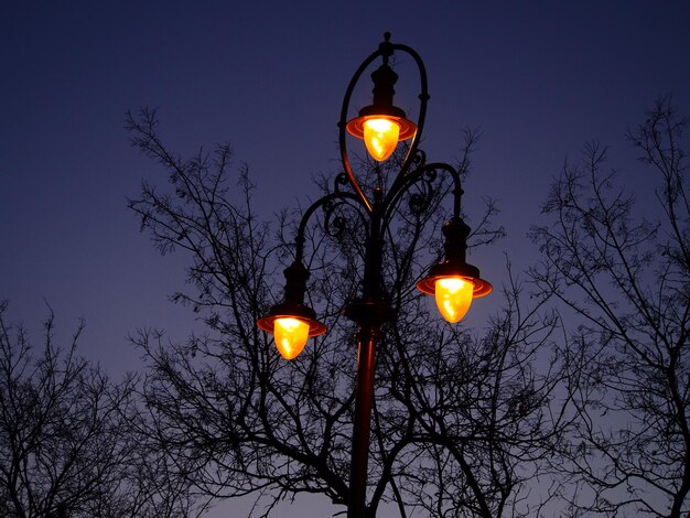 Foto lage hoek van verlichte straatverlichting