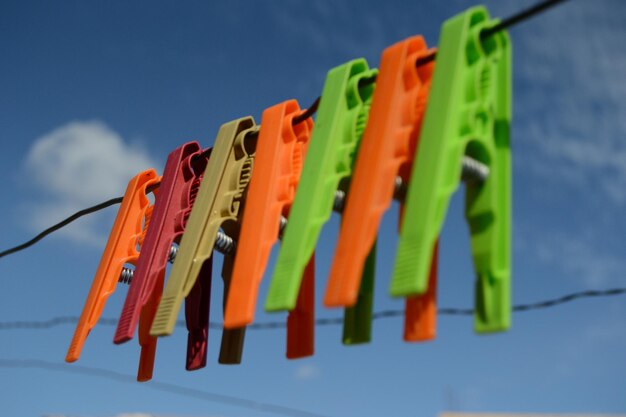 Lage hoek van waspinnen die aan een touw hangen tegen de lucht