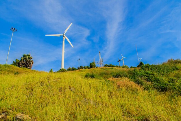 Foto lage hoek van windturbines op het veld tegen de lucht