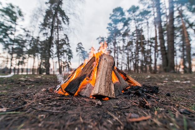 Lage hoek vreugdevuur in de natuur