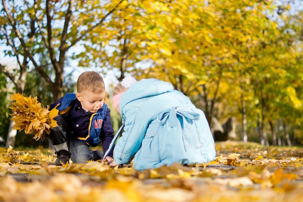 Lage hoekmening van een jonge broer en zus geknield op de grond in het bos spelen in kleurrijke gele herfst of herfstbladeren
