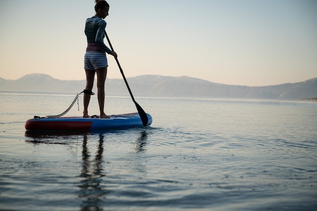 Lage hoekmening van jonge vrouw die vroeg in de ochtend traint, peddelen op sup board drijvend op kalm zeewater.