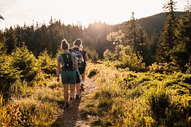 Foto lage tatra-gebergte slowakije zuid-weergave van de ridge traveler wandelen met rugzakken op lajstroch paek van certovica zadel slowakije bergen landschap