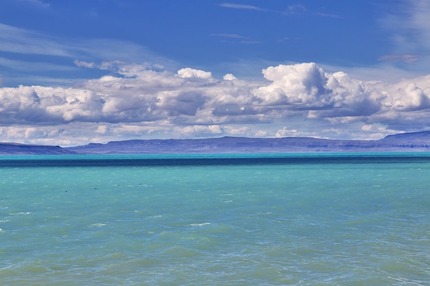 Foto lago lago argentino nella laguna nimez reserva, el calafate, patagonia, argentina