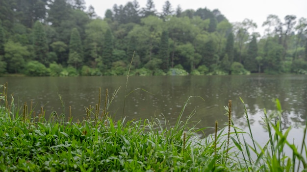 Photo lago negro on a rainy day in the city of gramado in rio grande do sul brazil