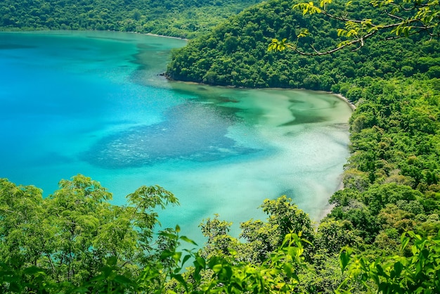 Laguna nella giungla