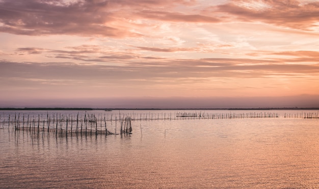 Lagoon in Pinedo town of Valencia