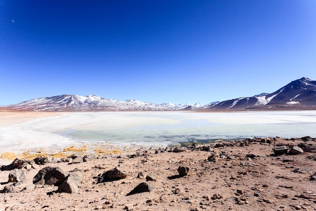 Laguna Blanca landschap, Bolivia. Prachtig Boliviaans panorama. Witte lagune en Licancabur-vulkaan