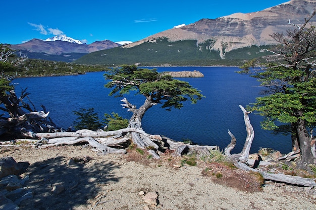 Foto laguna capri chiude fitz roy patagonia argentina