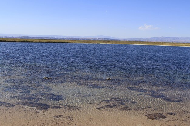 Foto laguna cejar atacama cile