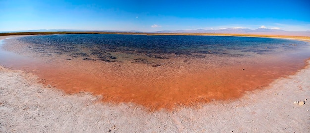 Laguna Cejar アタカマ チリ