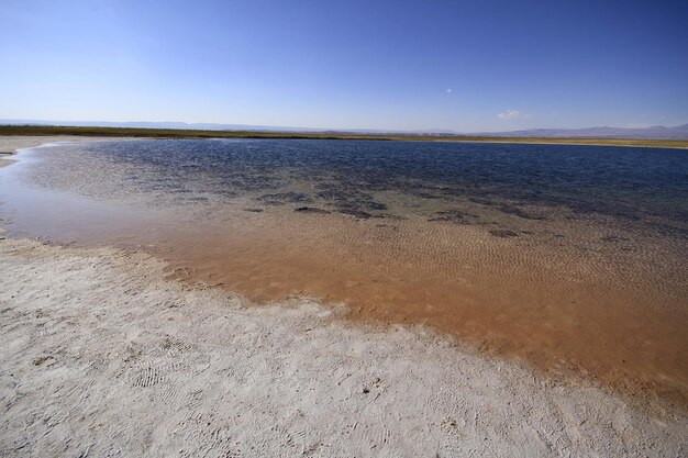 写真 laguna cejar アタカマ チリ