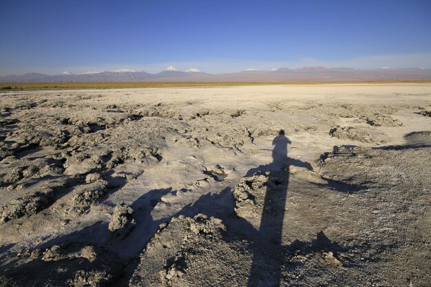 Laguna Cejar Atacama Chile