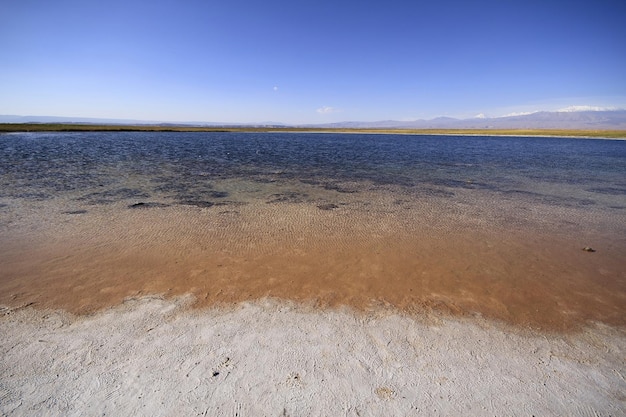 Laguna Cejar Atacama Chili