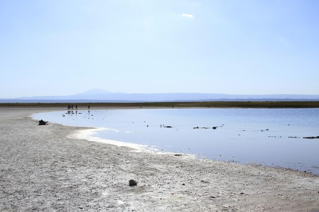 Laguna Cejar Atacama Chili