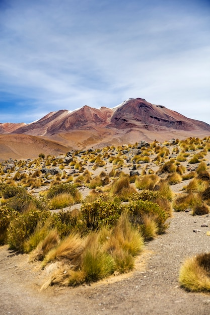 Laguna Colorada in Bolivia