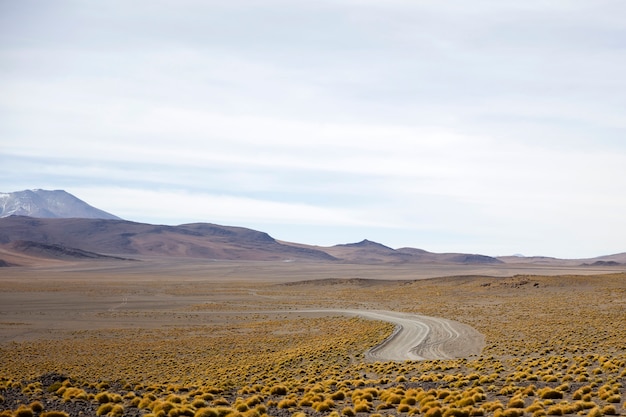 Foto laguna colorada in bolivia