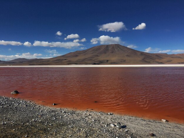 하늘을 배경으로 산에 의해 Laguna colorada