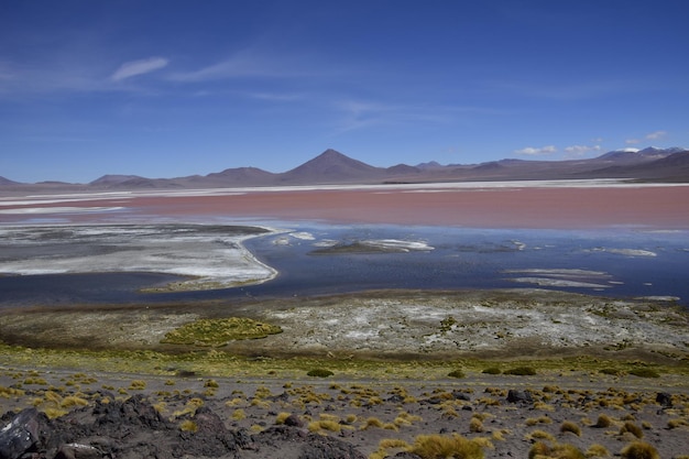 ボリビアのウユニにあるエドゥアルドアバロア国立保護区のラグナコロラダ、海抜4300 m