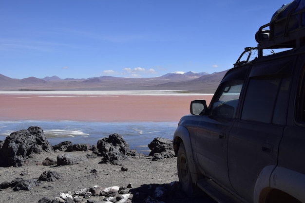 Laguna Colorada on Eduardo Avaroa National Reserve in Uyuni Bolivia at 4300 m above sea level